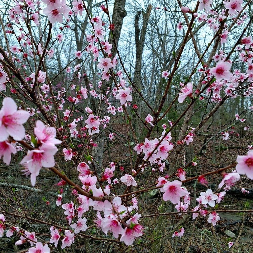 Meet your Posher, Beverley
